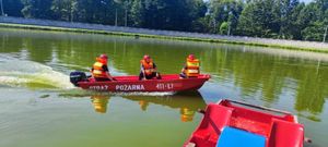 działania policjantów i strażaków