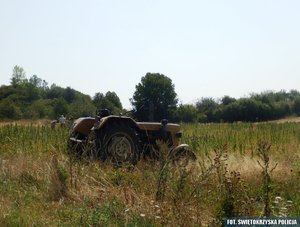 zdjęcie podglądowe