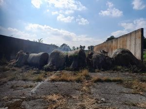 Nielegalne składowisko odpadów