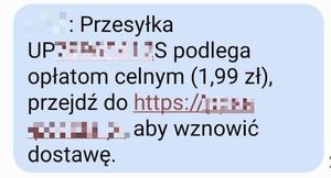 zdjęcie podglądowe