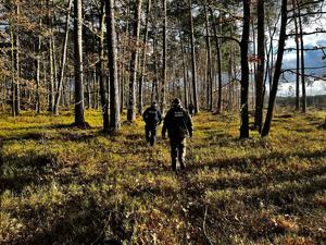 wspólne działania Policji i Straży Leśnej