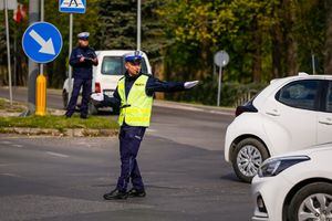 zdjęcie podglądowe