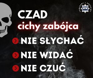 zdjęcie podglądowe