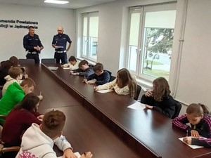 zdjęcie podglądowe