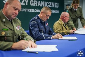 zdjęcie podglądowe