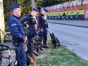 zdjęcie podglądowe