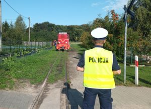 zdjęcia podglądowe