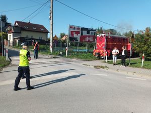 zdjęcia podglądowe