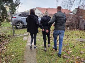 zdjęcie podglądowe