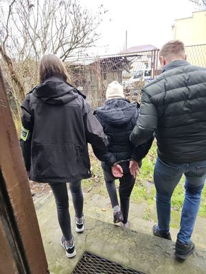 zdjęcie podglądowe